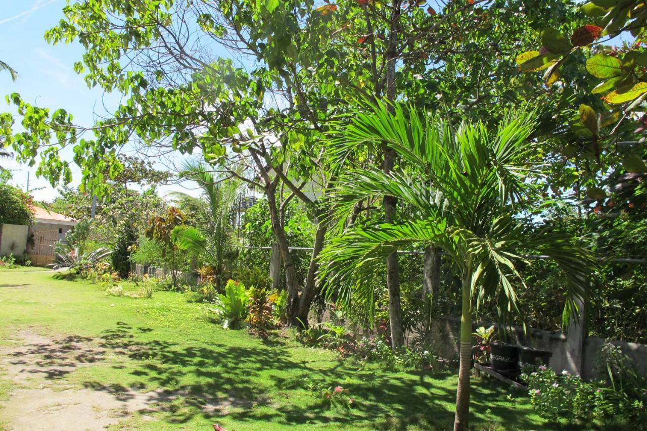 Celtis Resort Malapascua Eksteriør billede